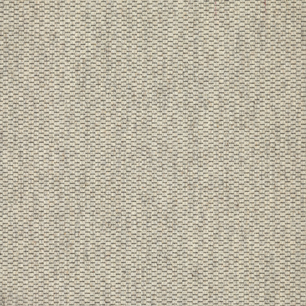 STEPPE